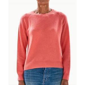 NEW JUMPER1234 crop crewneck sweater in cerise